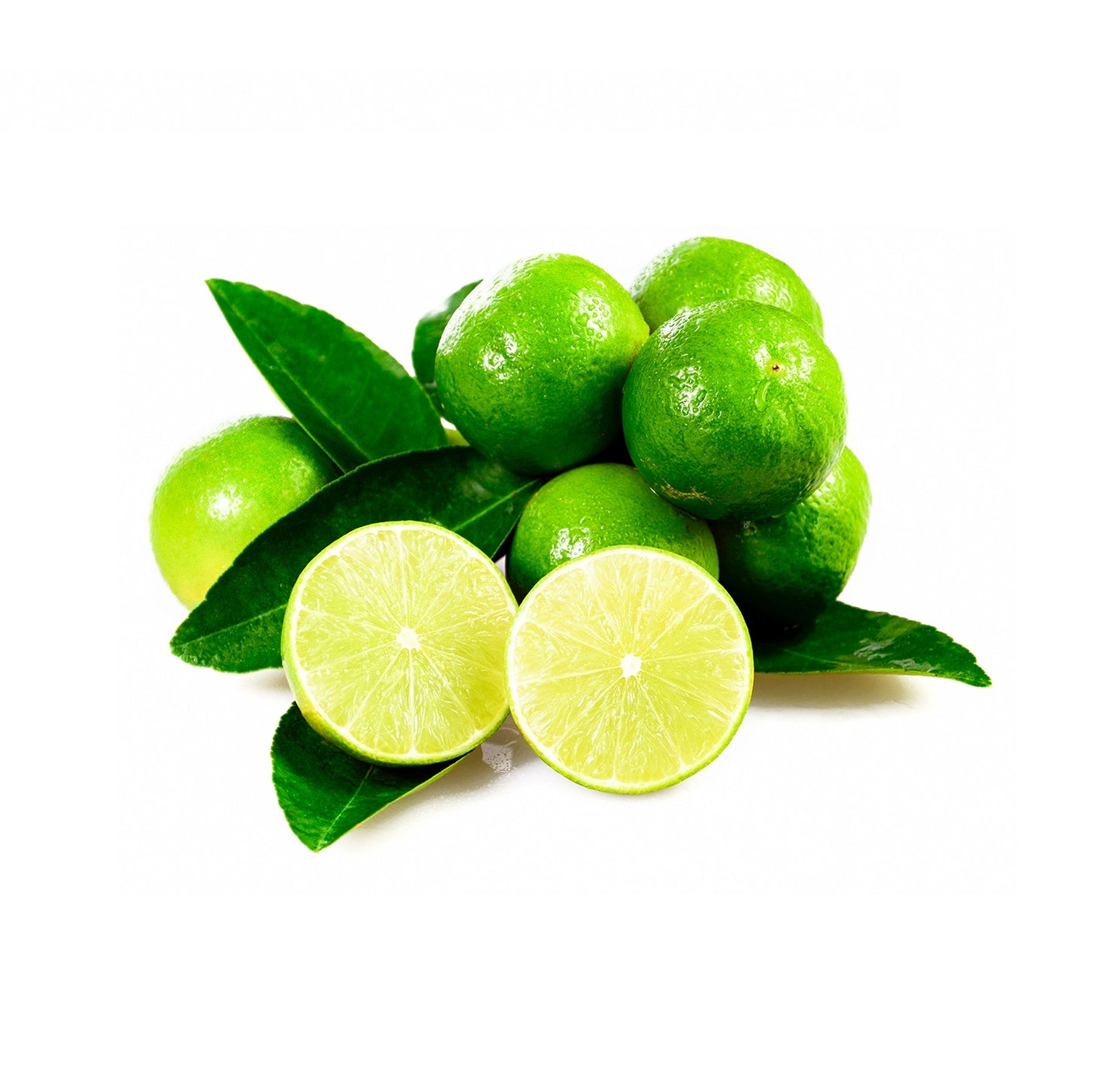 Lime Tree - Bearss | South Africa | BuyGrow