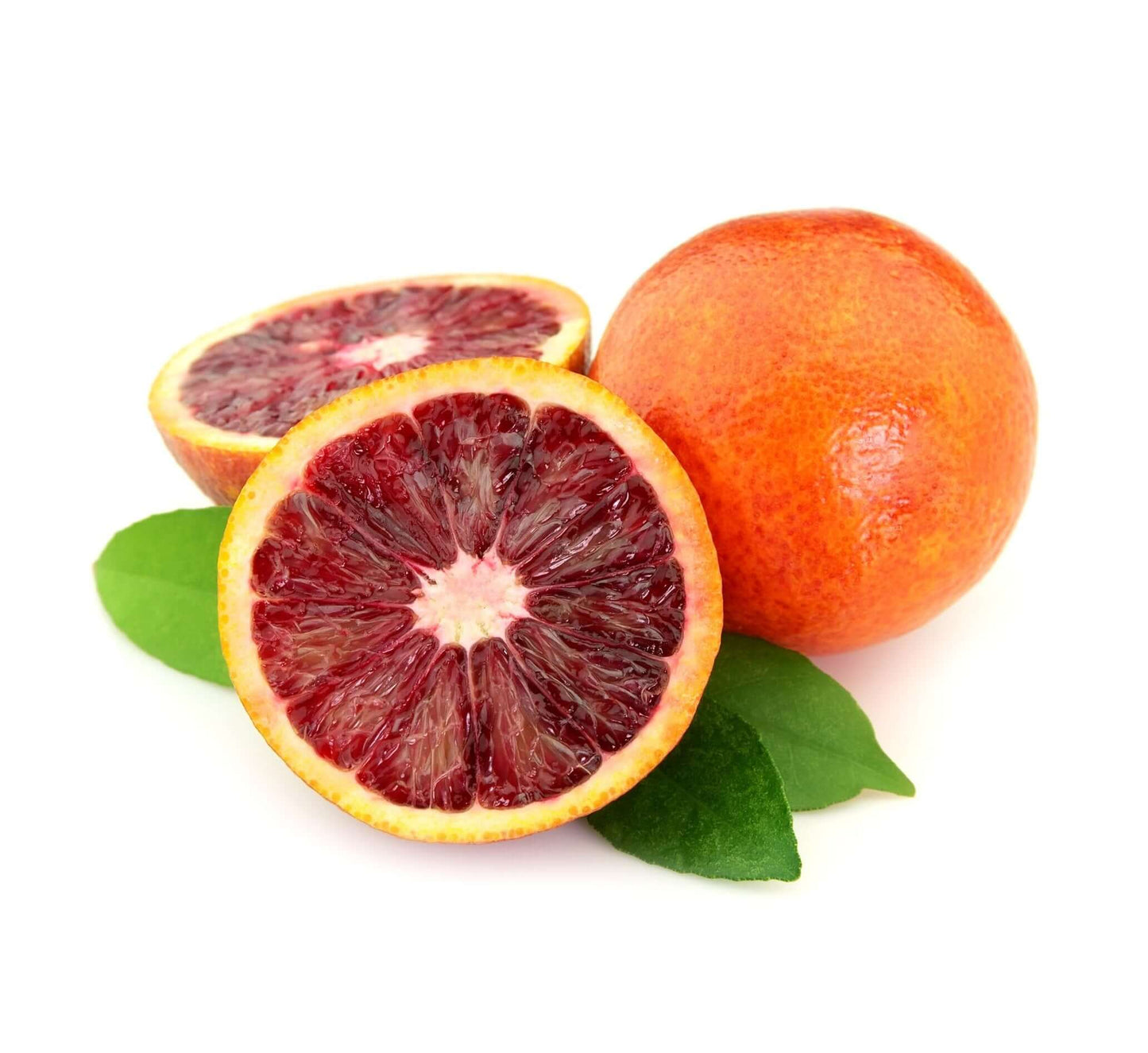 Blood Orange - Tarocco Ippolito (Citrus sinensis)