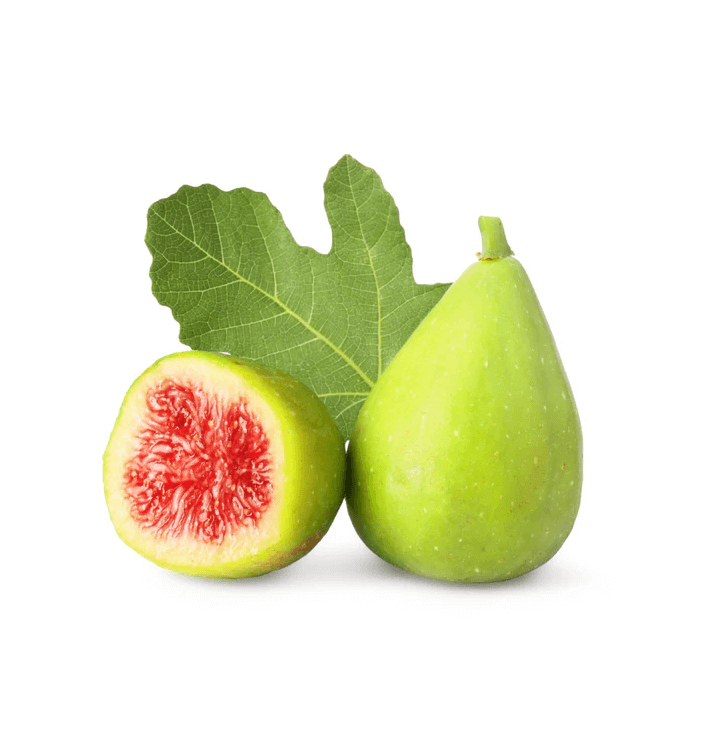 King Fig Tree South Africa