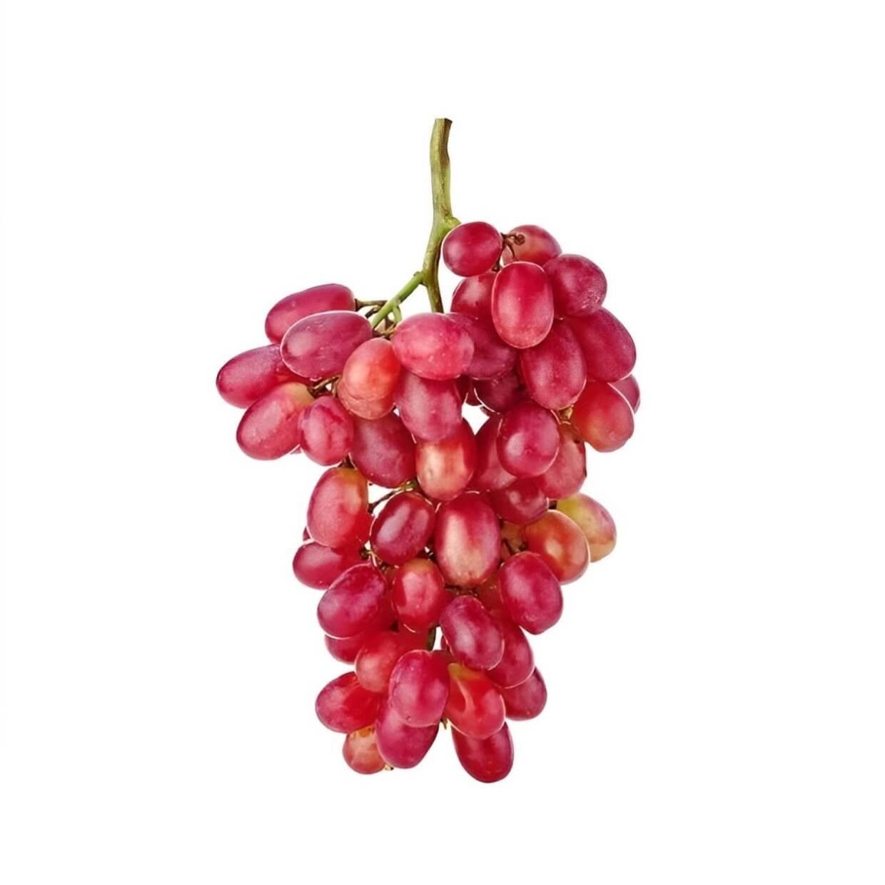 Crimson Red Seedless Grape Tree | South Africa | BuyGrow