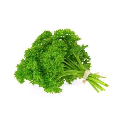 Parsley 6 pack - Moss - BuyGrow Seedlings