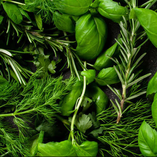How To Create Garden Beds For Growing Herbs And Vegetables