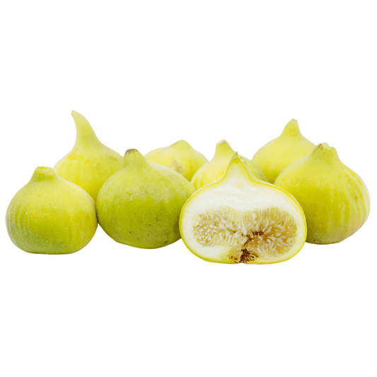 Deanna Fig Tree | South Africa | BuyGrow