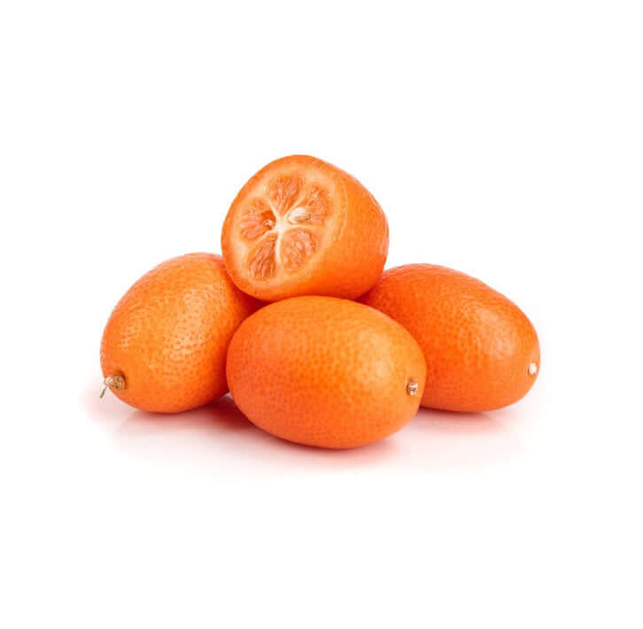 Vibrant orange kumquat fruit on a Citrus japonica tree in South Africa, known for its sweet peel and tangy pulp—perfect for fresh eating and culinary delights.
