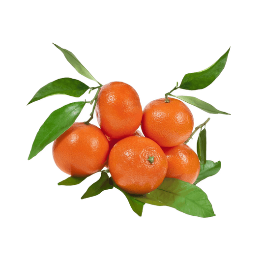 Naartjie Nules Clementine Tree South Africa