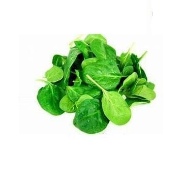 Baby Spinach 6 pack - BuyGrow Seedlings