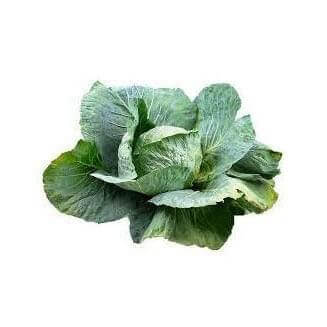 Cabbage 6 pack - BuyGrow Seedlings