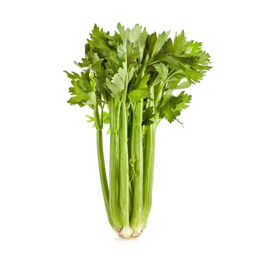Celery 6 pack - BuyGrow Seedlings