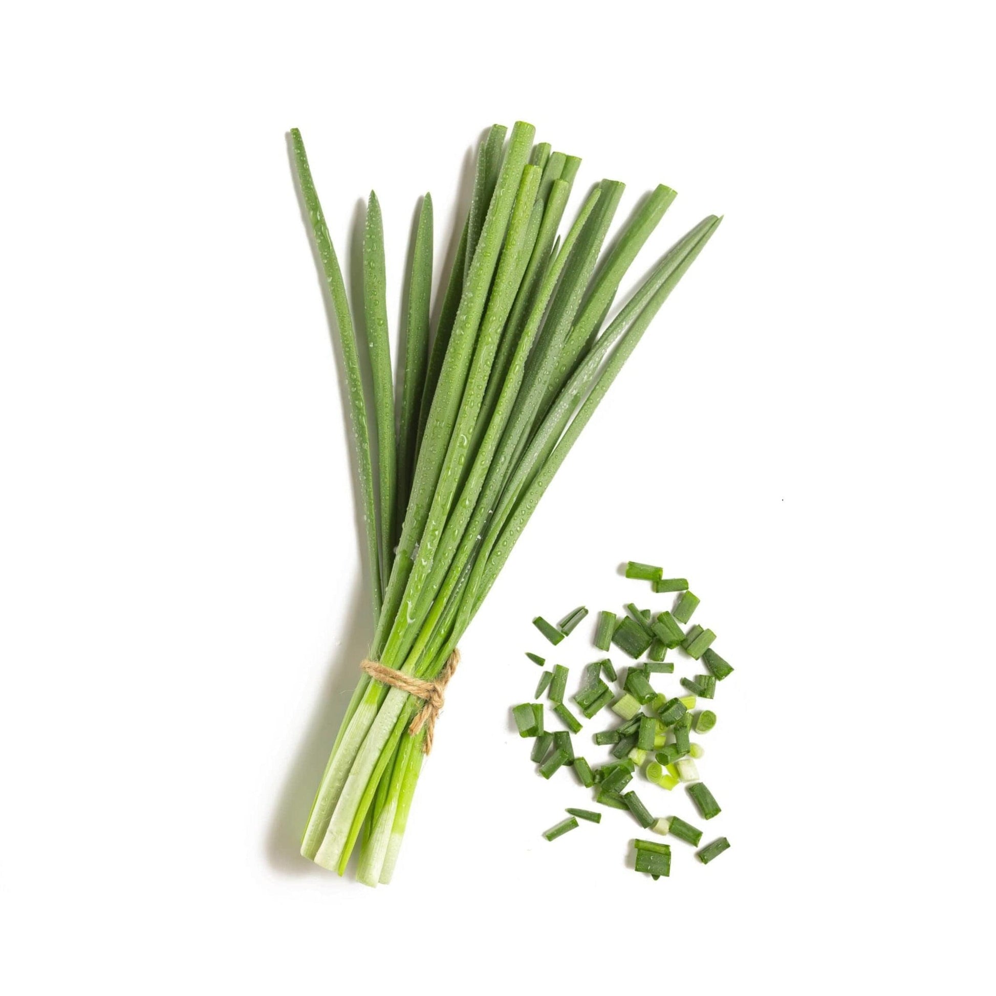 Chives 6 pack - BuyGrow Seedlings