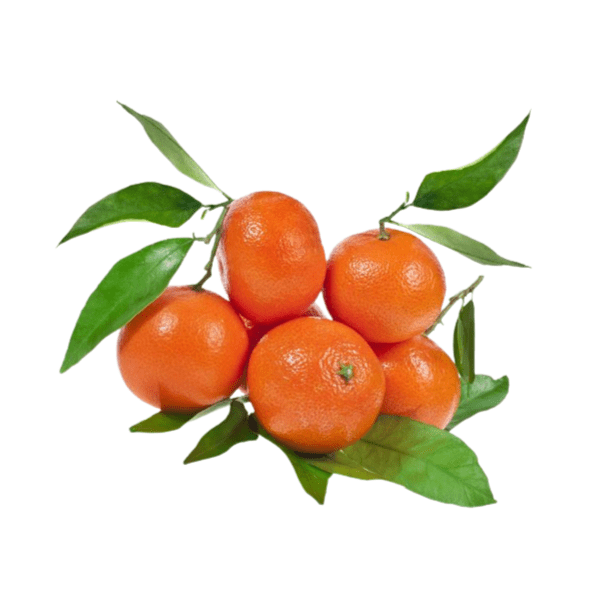 Clementine Tree - BuyGrow Seedlings