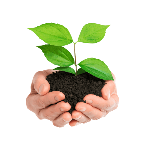 Compost & Potting Soil - 30dm Bags - BuyGrow Seedlings