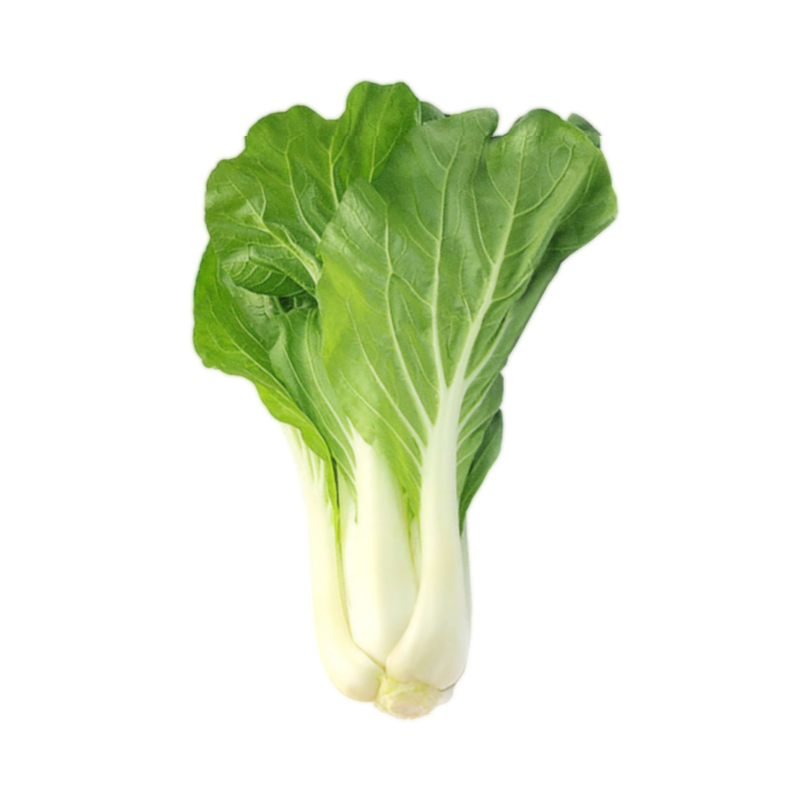 Oriental 6 pack - Joi Choi - BuyGrow Seedlings