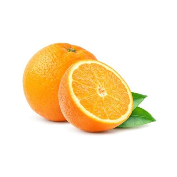 Orange Tree - Navel - BuyGrow Seedlings