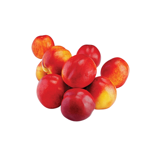 Nectarine Tree - Alpine - BuyGrow Seedlings
