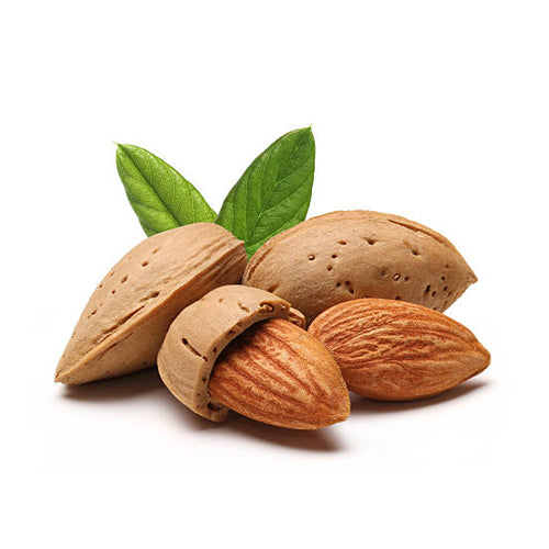 Almond Nut Tree - Peerless - BuyGrow Seedlings