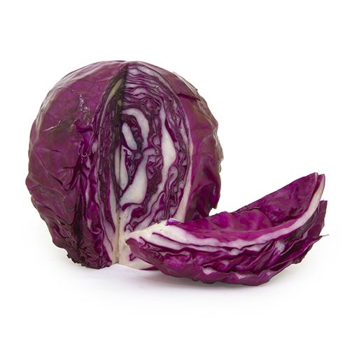 Red Baby Cabbage 6 pack - BuyGrow Seedlings