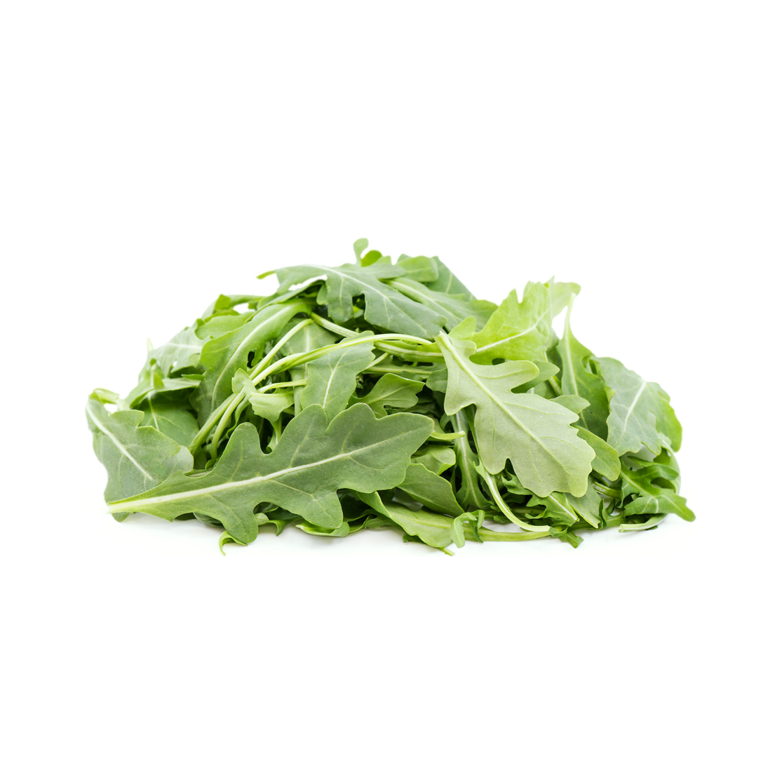 Rocket 6 pack - Wild - BuyGrow Seedlings