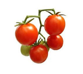 Tomato 6 pack - Cocktail - BuyGrow Seedlings