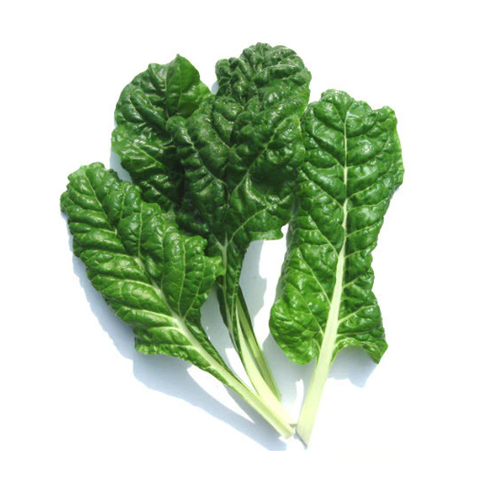 Spinach 6 pack - Fordhook Giant - BuyGrow Seedlings