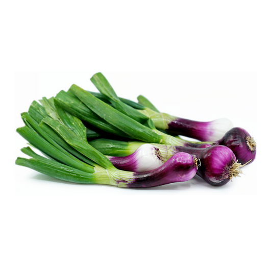 Spring Onion 6 pack - Red Fiamma - BuyGrow Seedlings