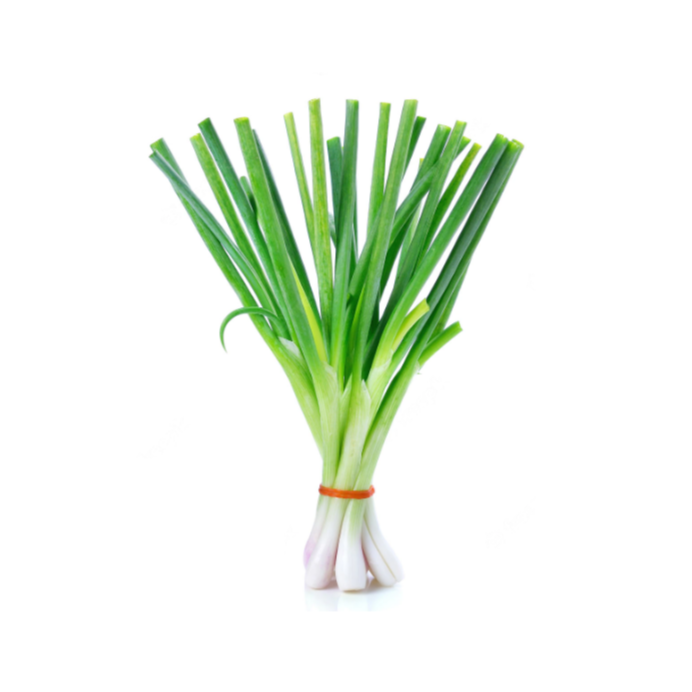 Spring Onion 6 pack - Slender - BuyGrow Seedlings