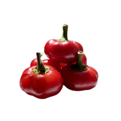 Peppers 6 pack - Sweet Piquante - BuyGrow Seedlings