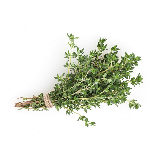 Thyme 6 pack seedlings - BuyGrow Seedlings