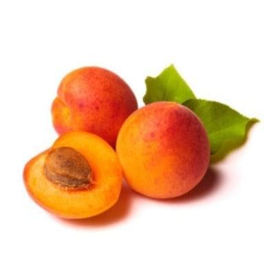 Apricot Tree - Soldonne - BuyGrow Seedlings