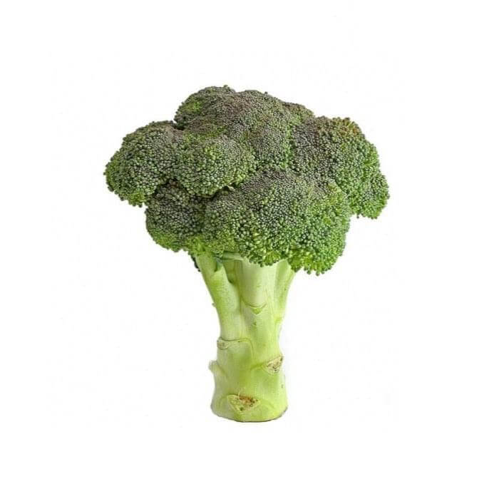 Broccoli 6 pack - BuyGrow Seedlings