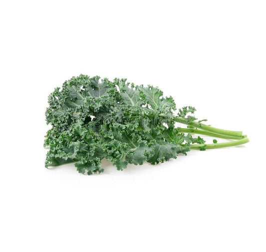 Kale 6 pack - BuyGrow Seedlings