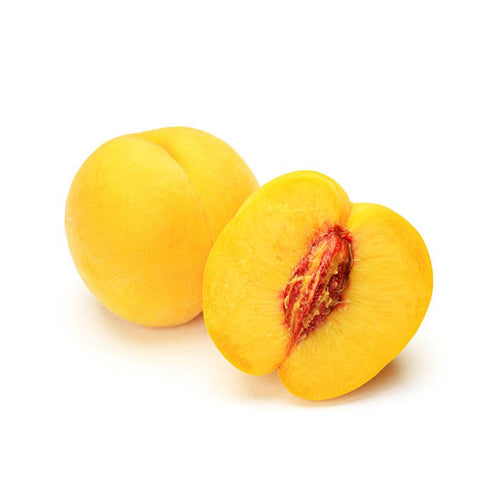 Peach Tree - Sandvliet Cling - BuyGrow Seedlings