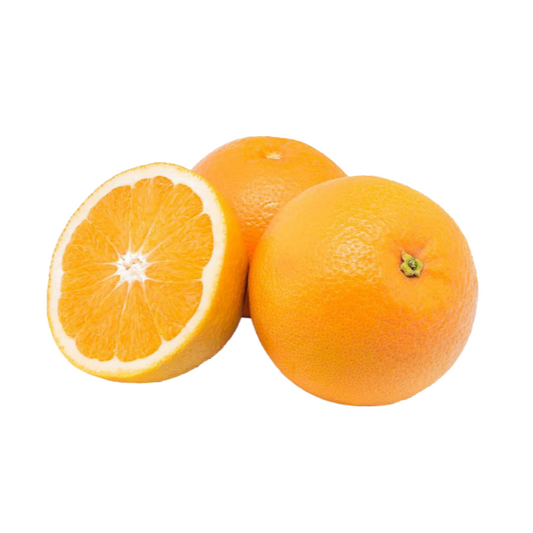 Orange Tree - Valencia - BuyGrow Seedlings